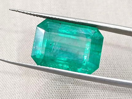 Natural Emerald 13.86ct Zambia Deep Green Octagon Cut Gemstone