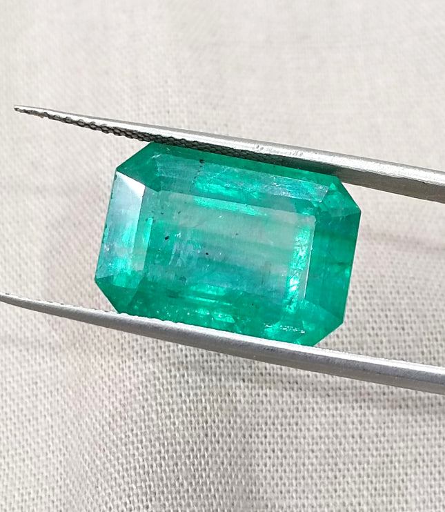 Natural Emerald 13.86ct Zambia Deep Green Octagon Cut Gemstone
