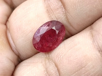 3.29ct Untreated Natural Mozambique Ruby Rasberry Red SGL Certified Oval Loose Gemstone