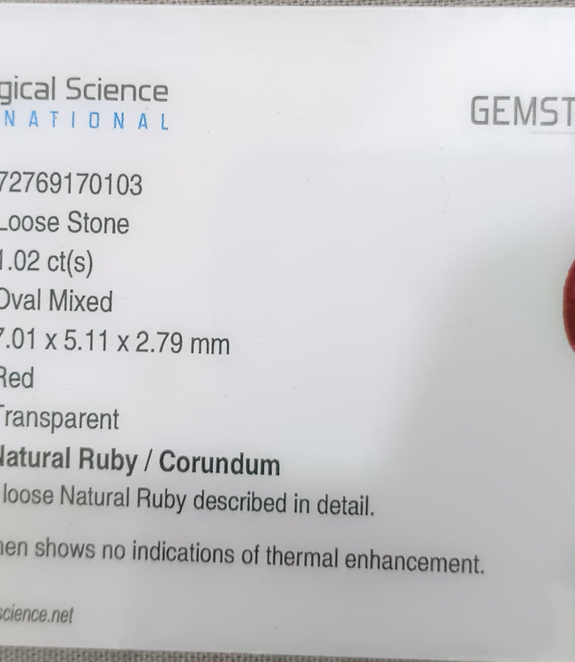 Mozambique Ruby 1.02ct Blood Red Natural untreated Gemstone