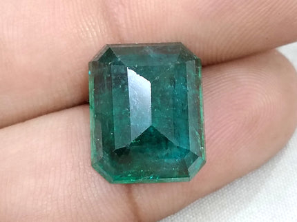 16.71ct Natural Emerald Deep Forest Green AGRL Certified Octagon Cut Loose Gemstone